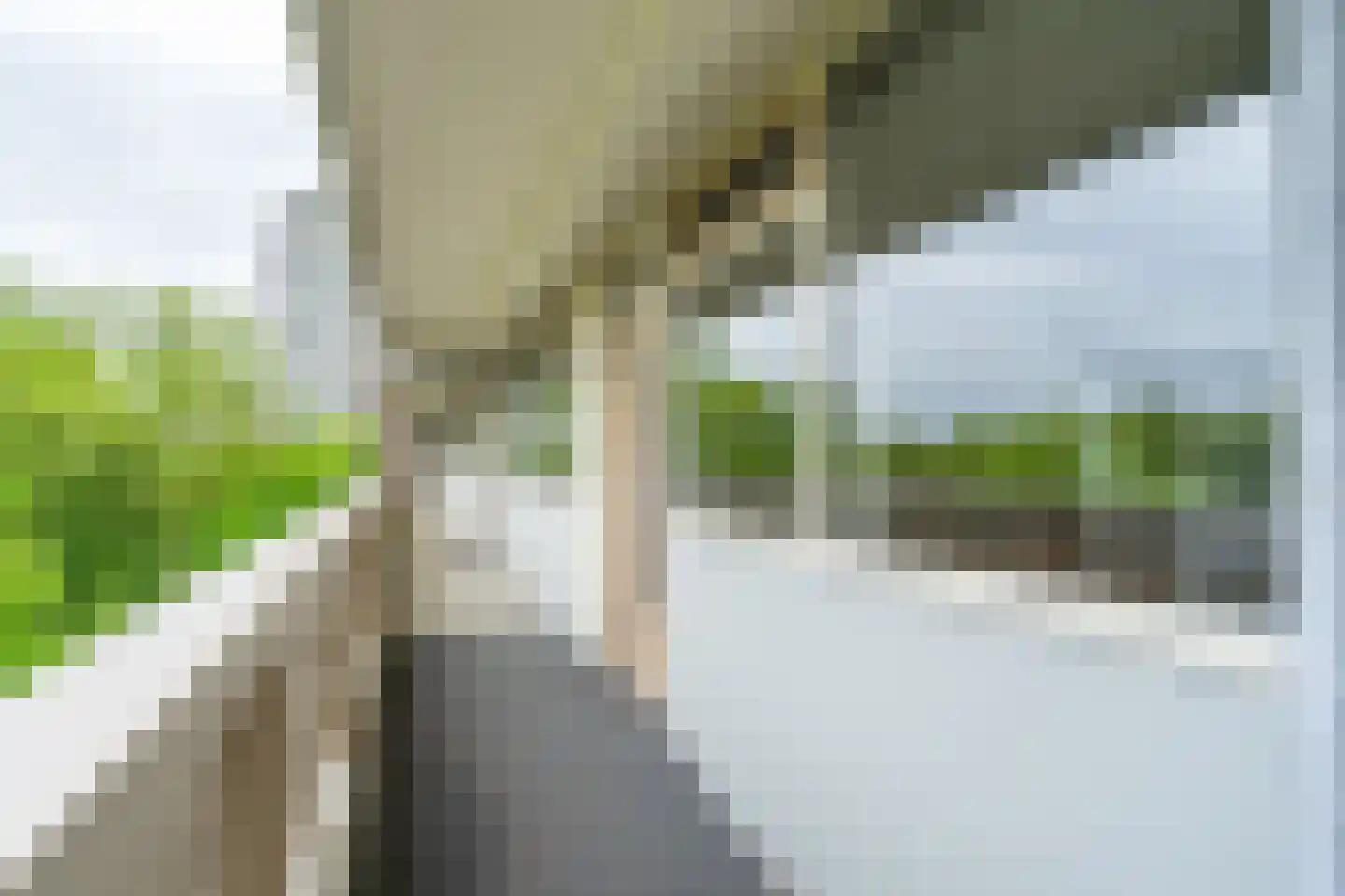 Joliotplaats 442 Rotterdam thumbnail 20