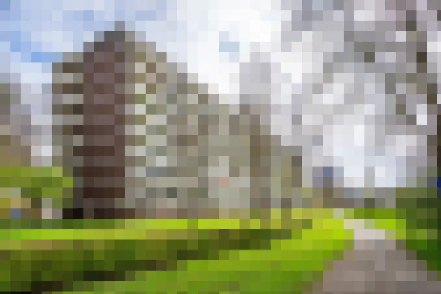 Joliotplaats 442 Rotterdam thumbnail 44