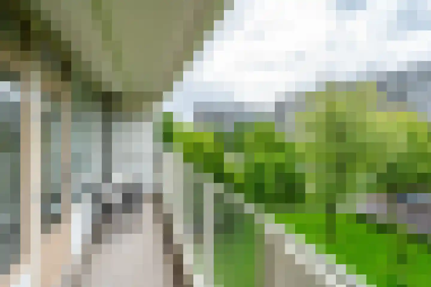 Joliotplaats 442 Rotterdam thumbnail 8
