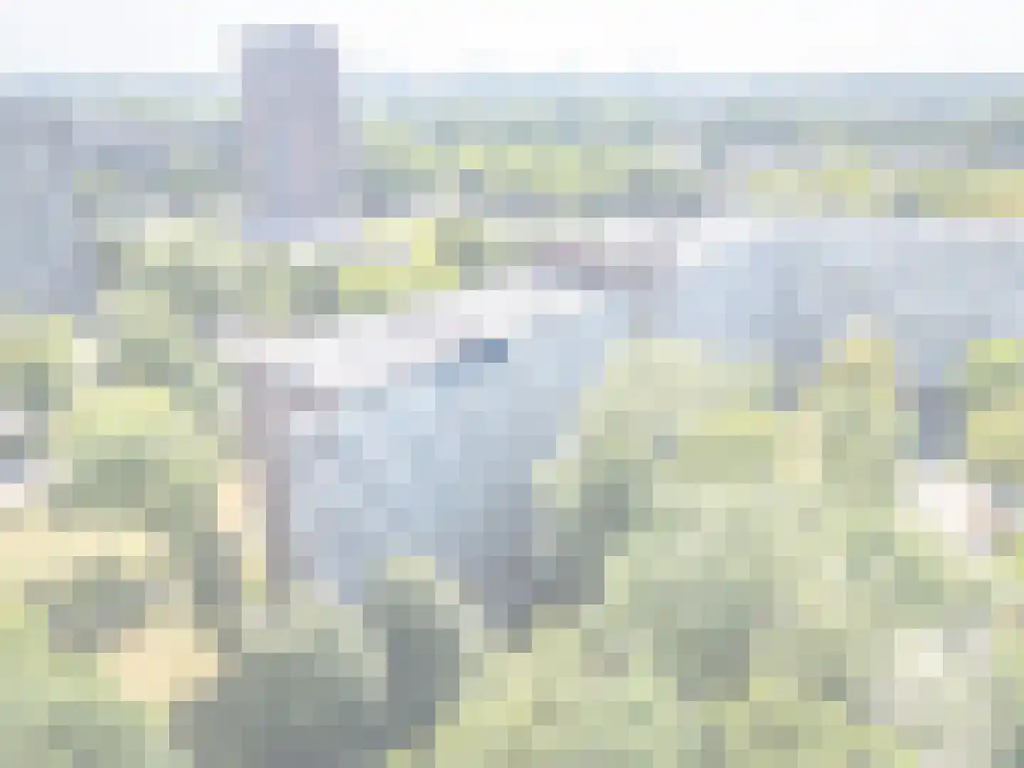Joliotplaats 496 Rotterdam thumbnail 44