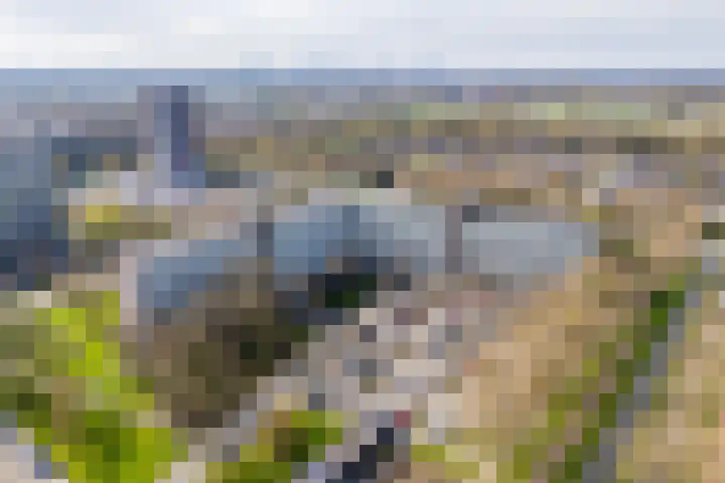 Joliotplaats 640 Rotterdam thumbnail 50