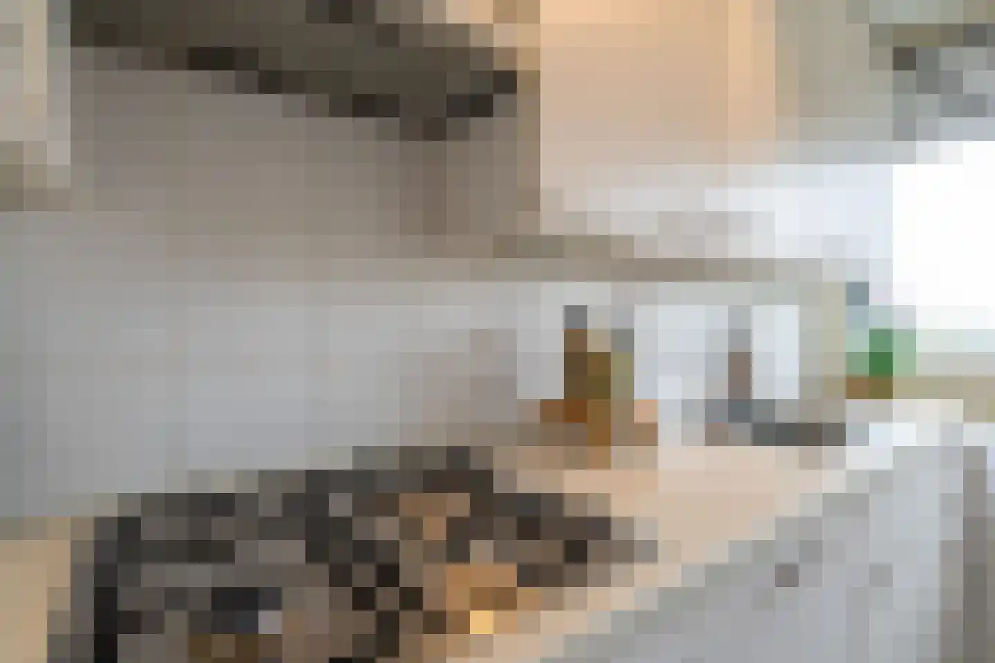 Joliotplaats 672 Rotterdam thumbnail 13