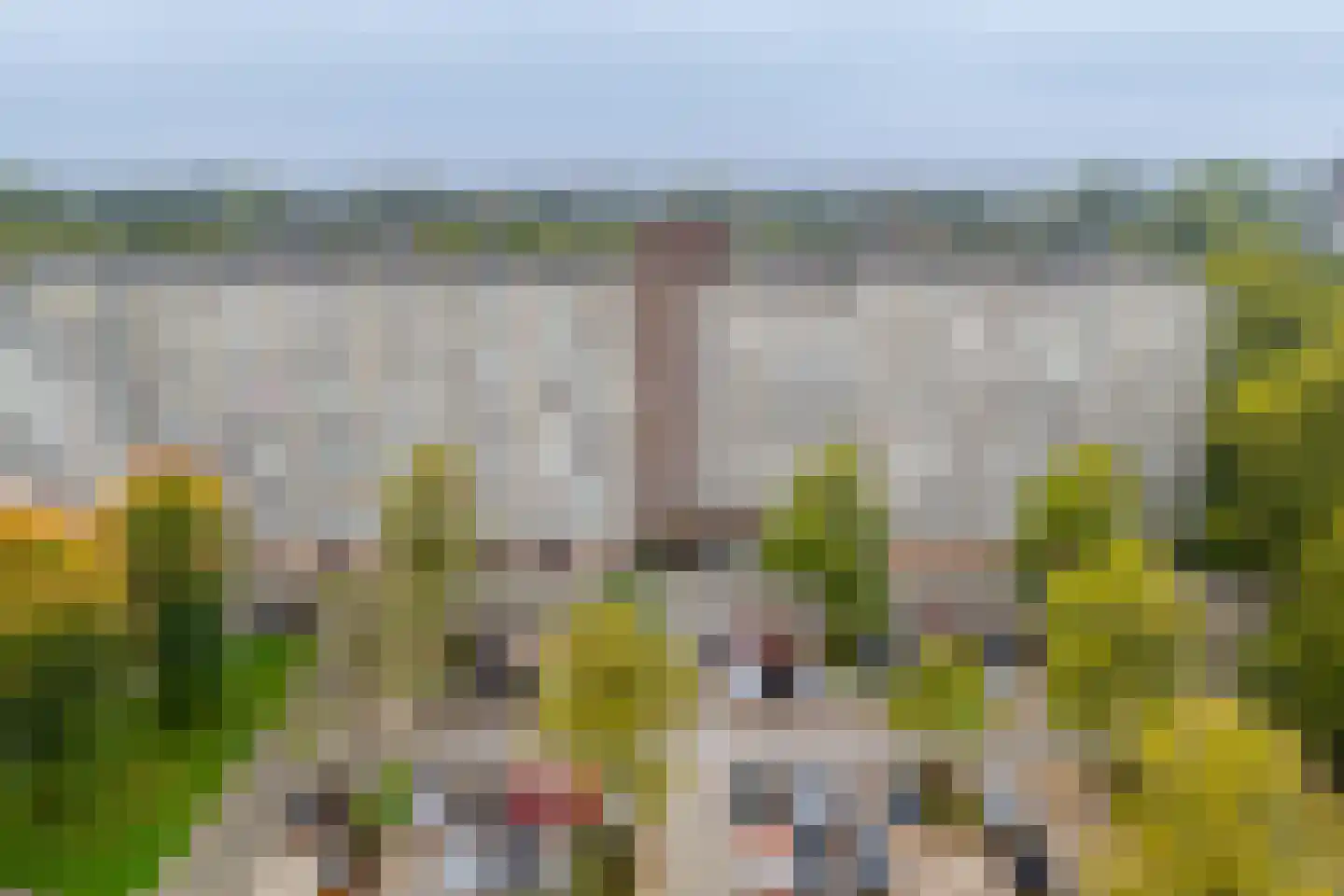 Joliotplaats 672 Rotterdam thumbnail 37