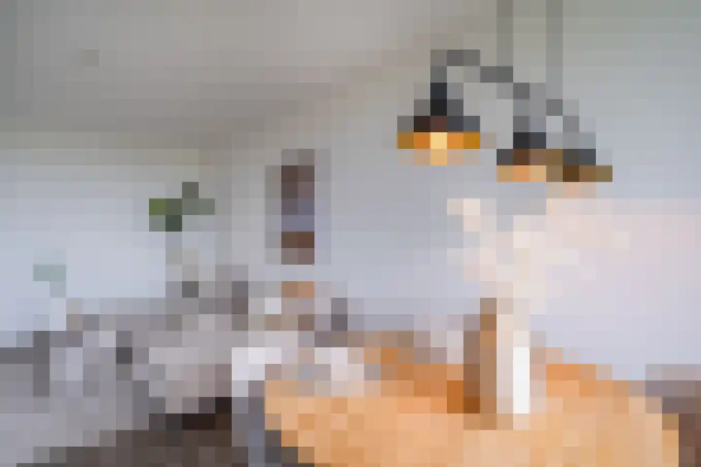 Joliotplaats 672 Rotterdam thumbnail 5