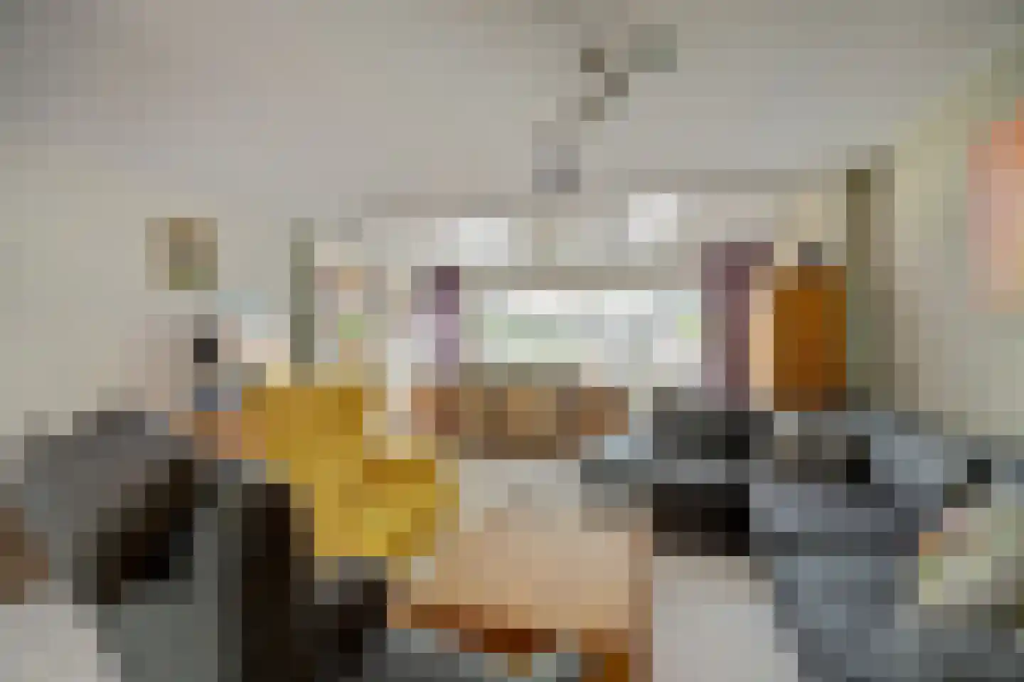 Jolkade 10 Zoetermeer thumbnail 11