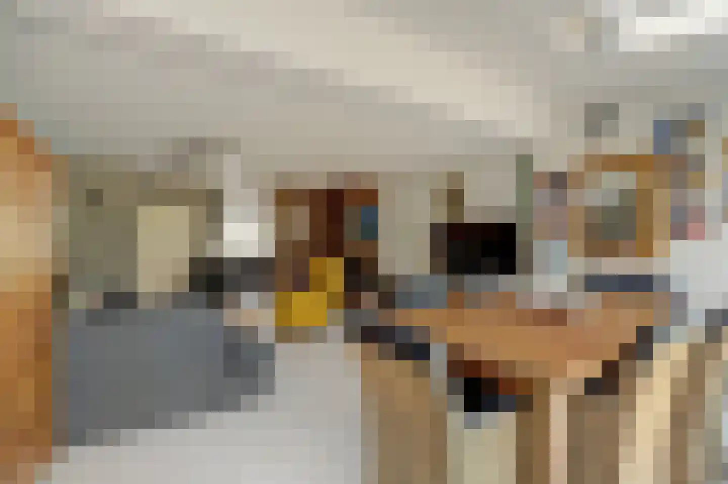 Jolkade 10 Zoetermeer thumbnail 12