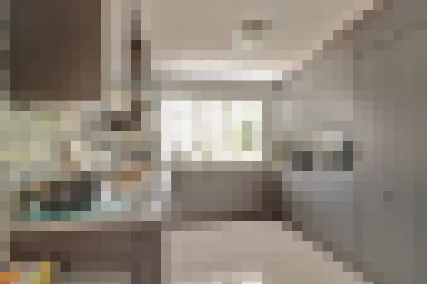 Jolkade 10 Zoetermeer thumbnail 15