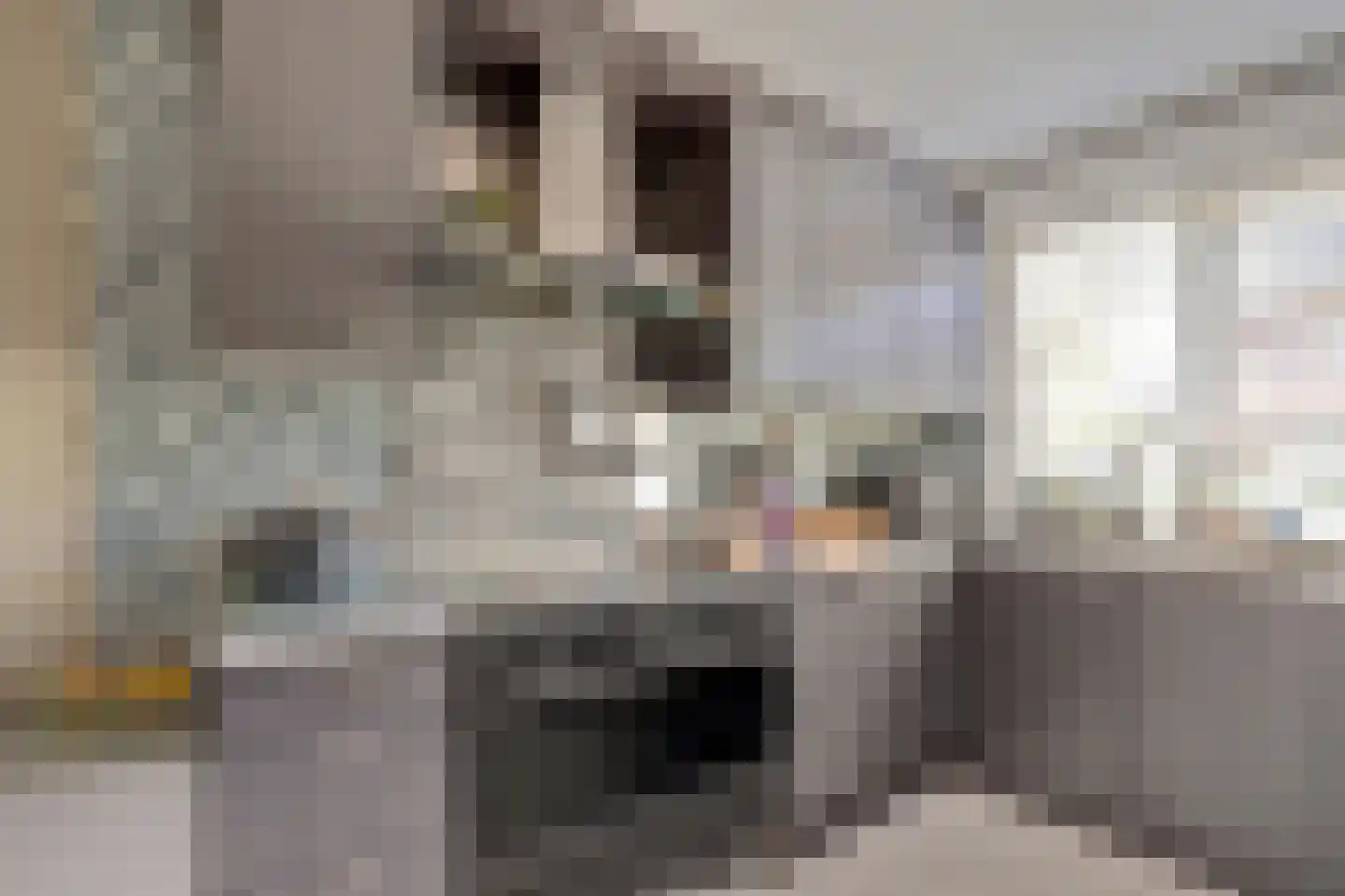 Jolkade 10 Zoetermeer thumbnail 18