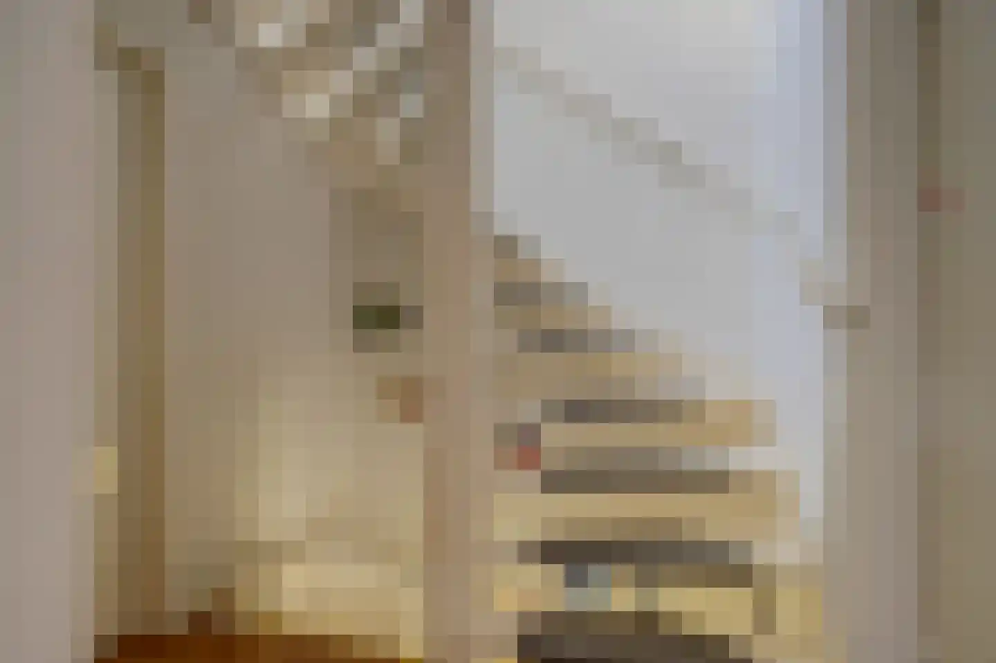 Jolkade 10 Zoetermeer thumbnail 19