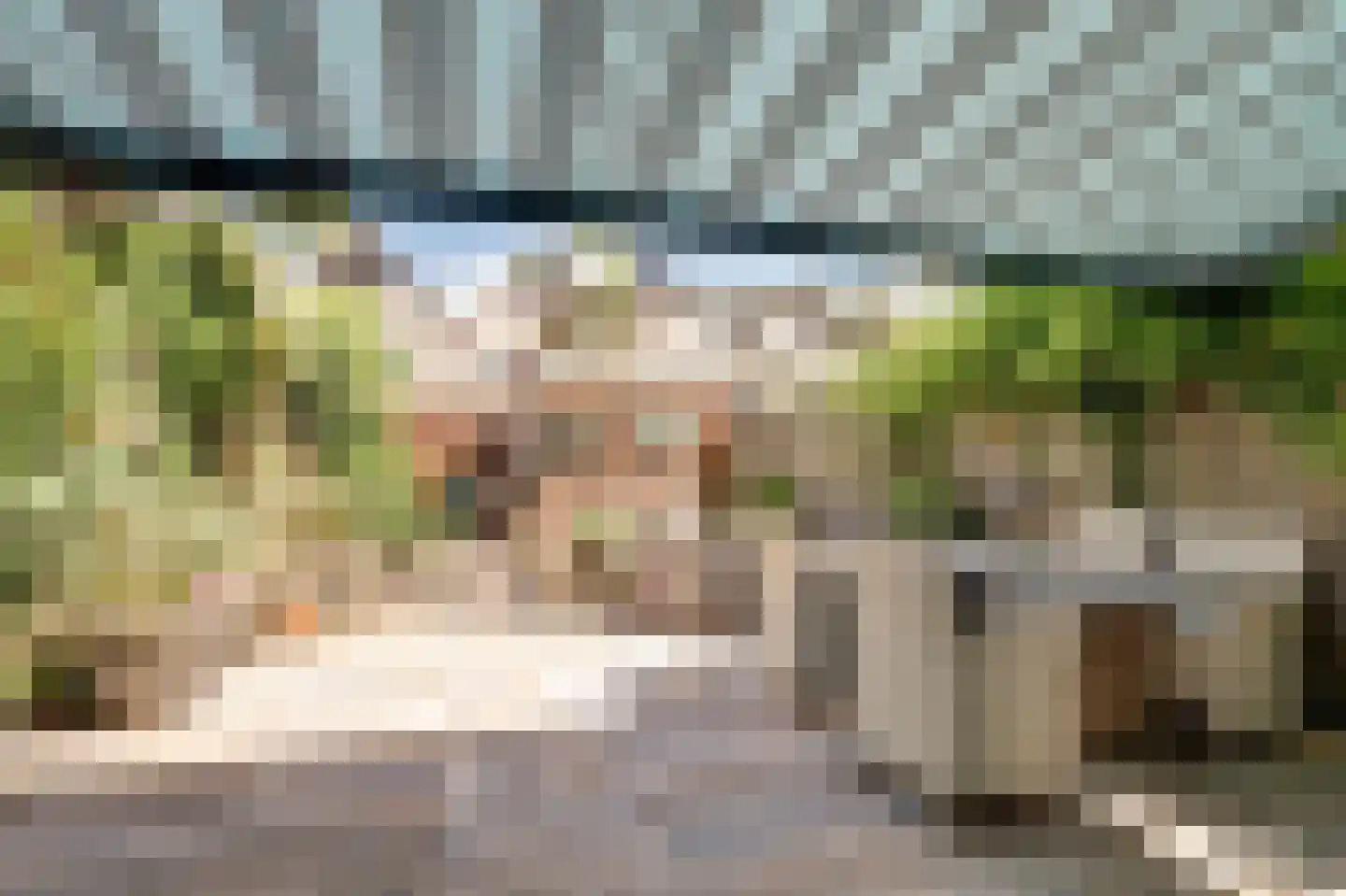 Jolkade 10 Zoetermeer thumbnail 27