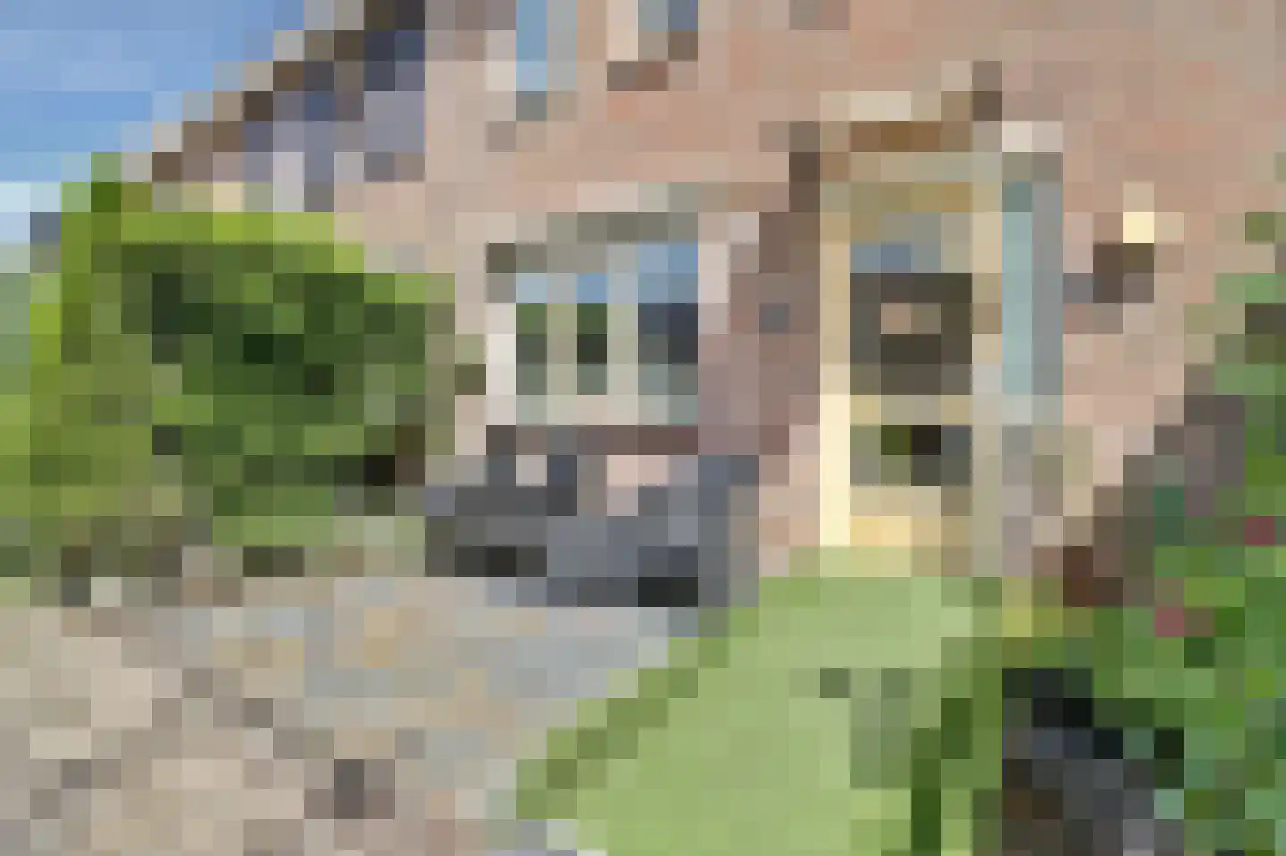 Jolkade 10 Zoetermeer thumbnail 4