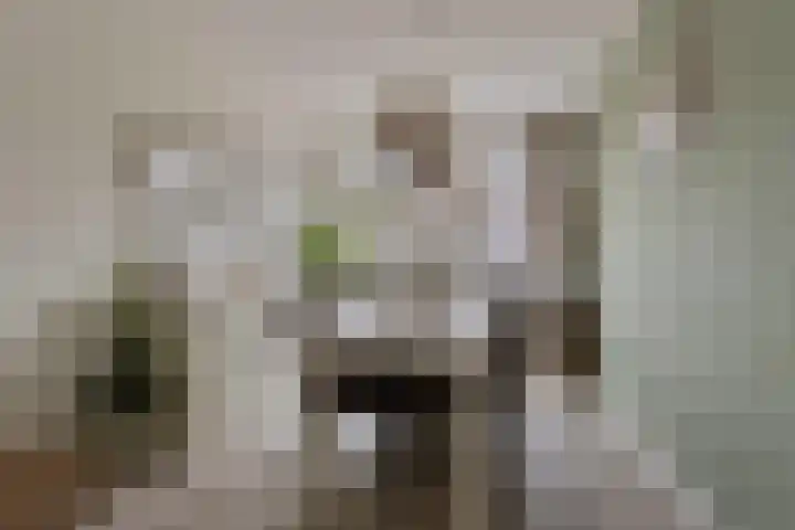 Jolkade 16 Zoetermeer thumbnail 12