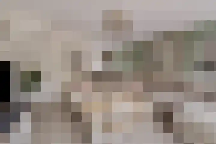 Jolkade 16 Zoetermeer thumbnail 15