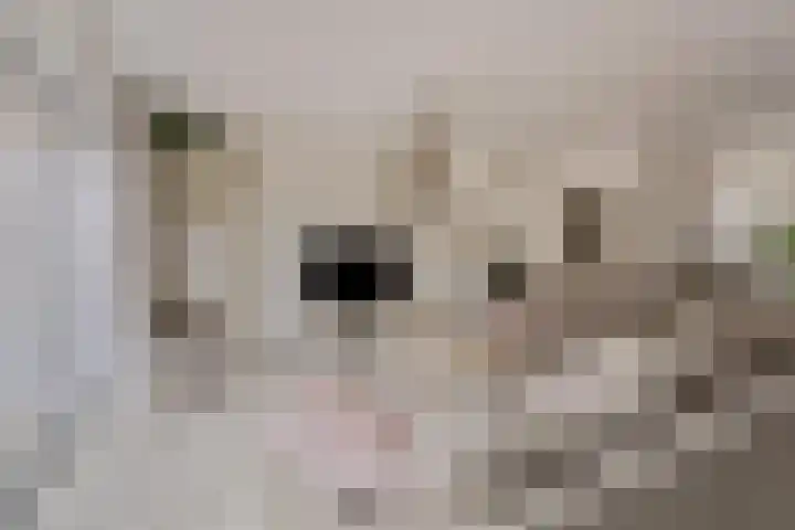 Jolkade 16 Zoetermeer thumbnail 16