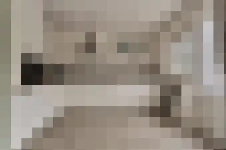 Jolkade 16 Zoetermeer thumbnail 17