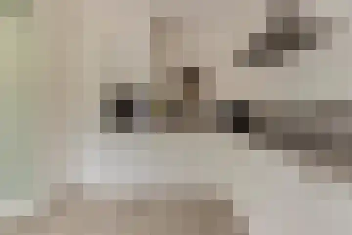 Jolkade 16 Zoetermeer thumbnail 18