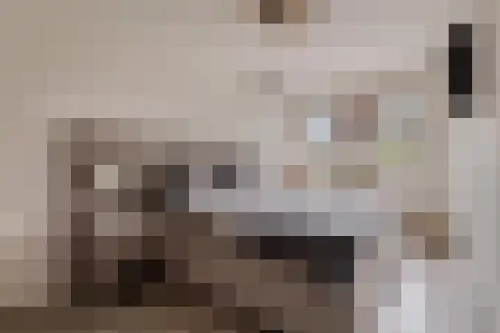 Jolkade 16 Zoetermeer thumbnail 20