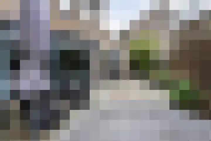 Jolkade 16 Zoetermeer thumbnail 33