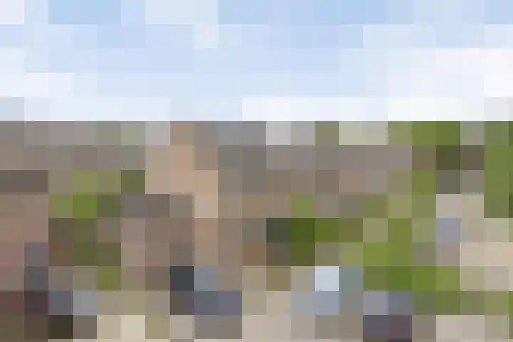 Jolkade 16 Zoetermeer thumbnail 7