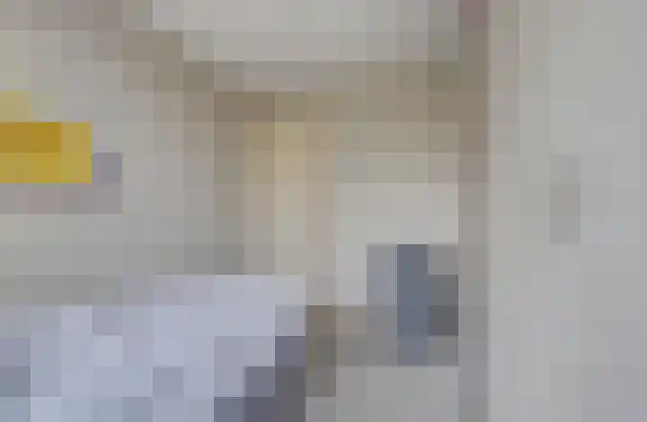 Jollenlaan 7 Kortgene thumbnail 17