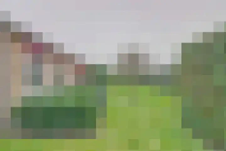 Jollenlaan 7 Kortgene thumbnail 24