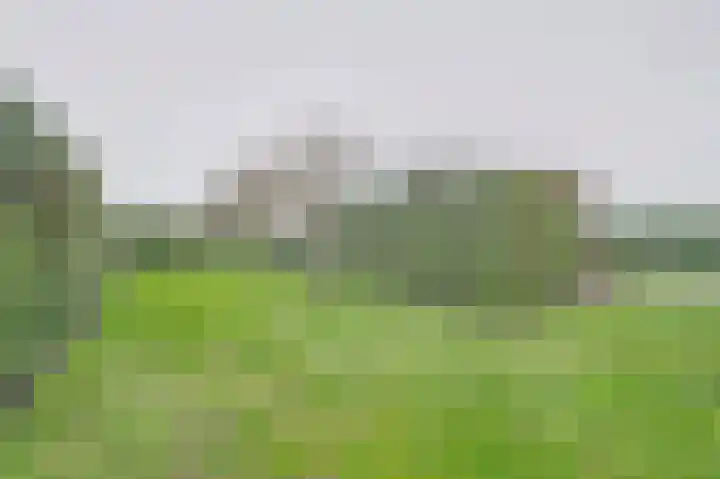 Jollenlaan 7 Kortgene thumbnail 25