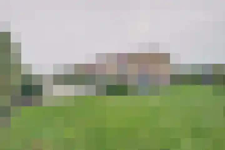 Jollenlaan 7 Kortgene thumbnail 26
