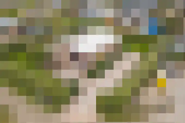 Jollenlaan 7 Kortgene thumbnail 29