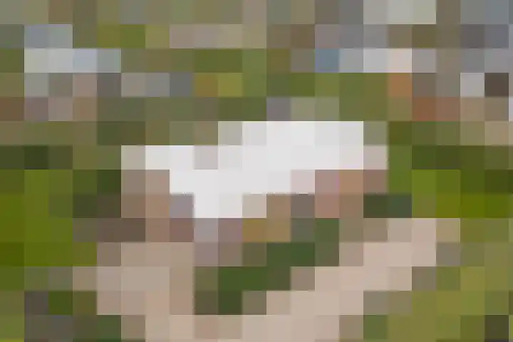 Jollenlaan 7 Kortgene thumbnail 31