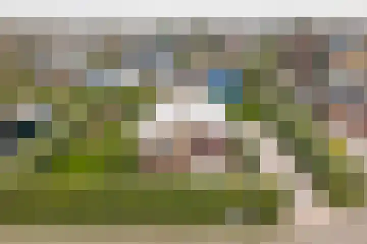 Jollenlaan 7 Kortgene thumbnail 32