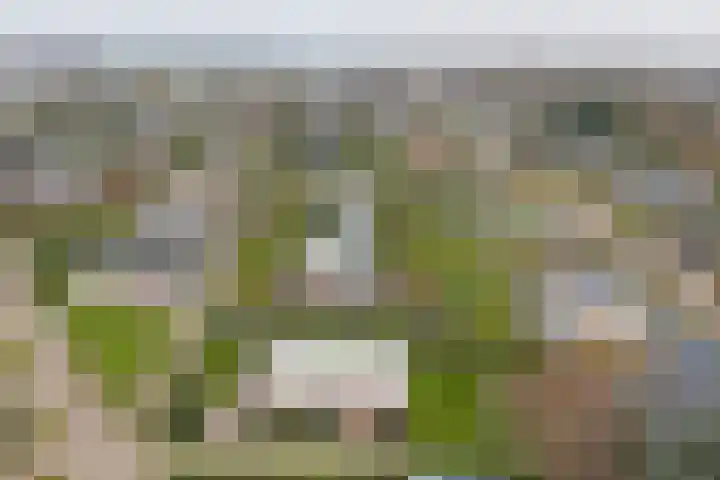 Jollenlaan 7 Kortgene thumbnail 34