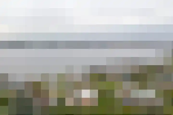 Jollenlaan 7 Kortgene thumbnail 35