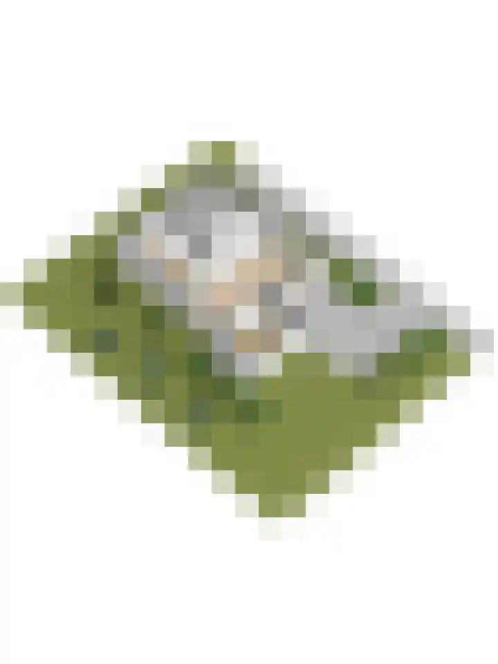 Jollenlaan 7 Kortgene thumbnail 45