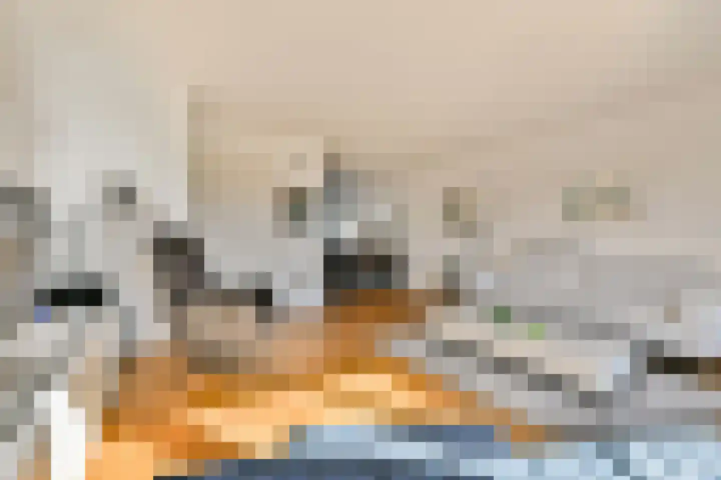 Jollenmakersweg 23 Oostzaan thumbnail 8