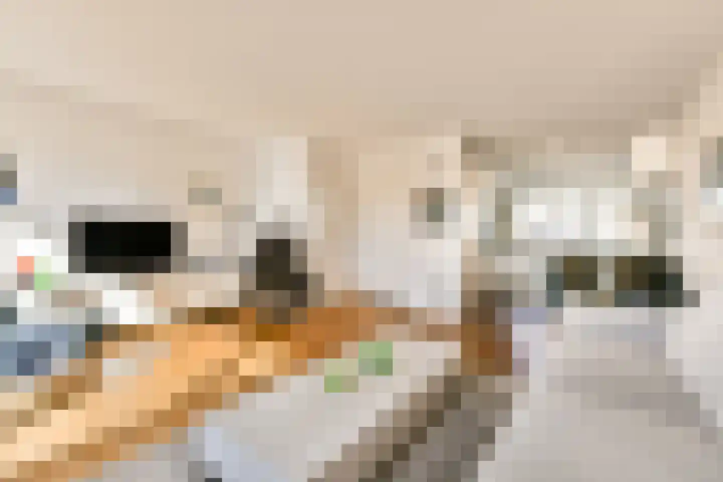 Jollenmakersweg 23 Oostzaan thumbnail 9