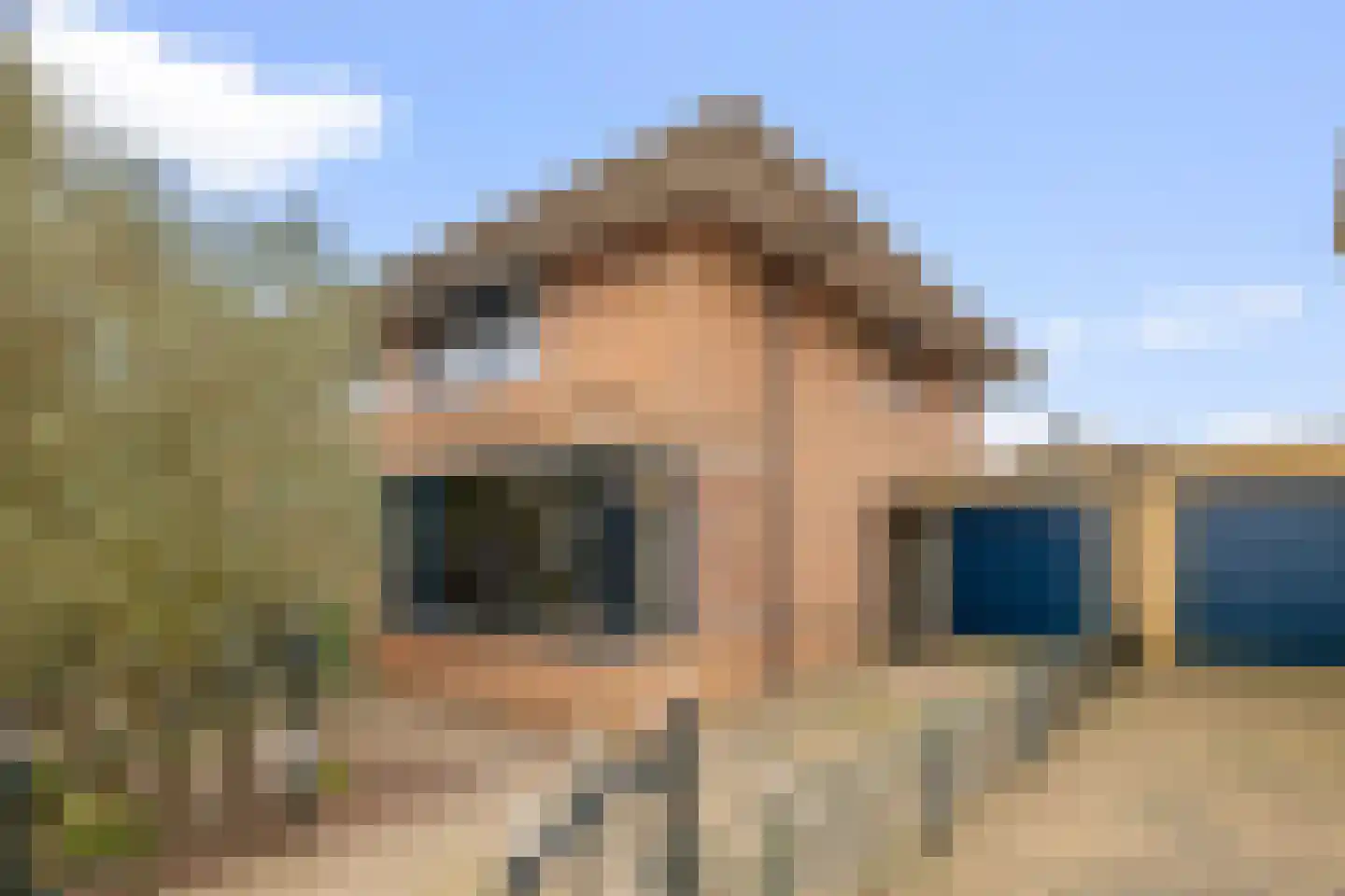Jollenmakersweg 53 Oostzaan thumbnail 54