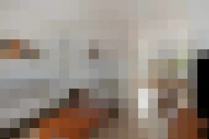 Jollenpad 30 Alkmaar thumbnail 11