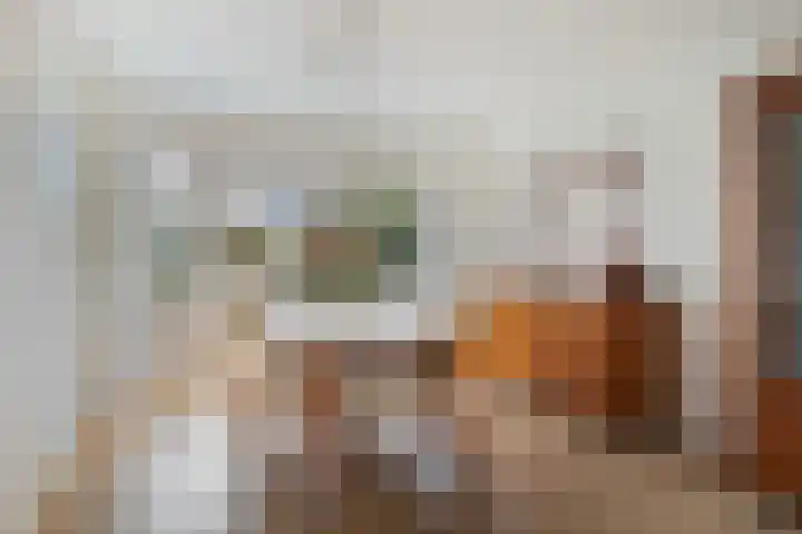 Jollenpad 30 Alkmaar thumbnail 12