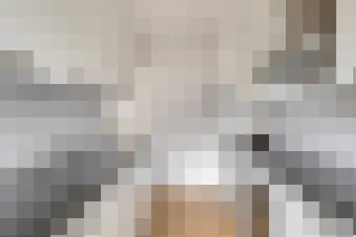Jollenpad 30 Alkmaar thumbnail 14