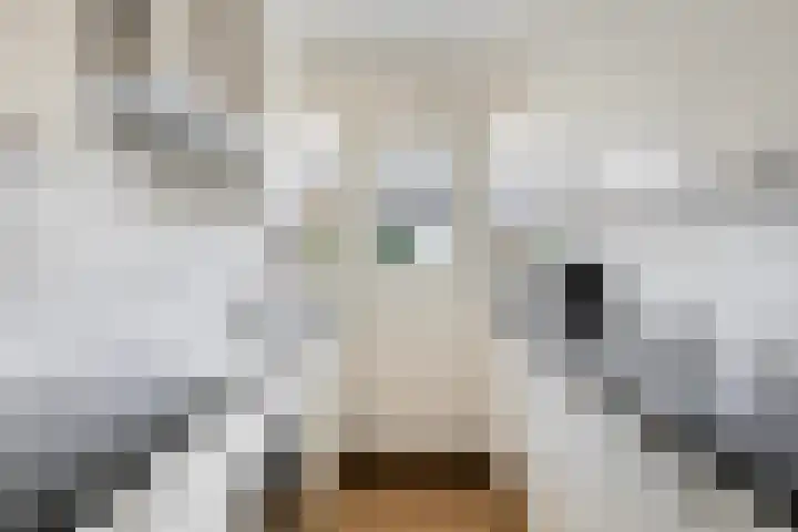 Jollenpad 30 Alkmaar thumbnail 15