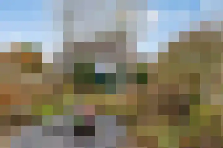 Jollenpad 30 Alkmaar thumbnail 16