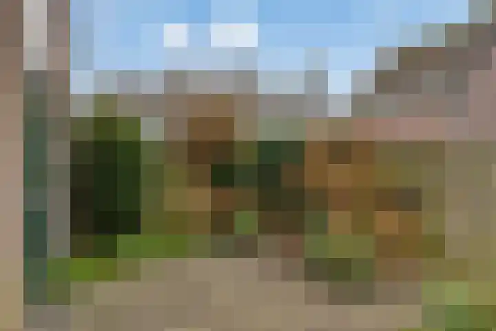Jollenpad 30 Alkmaar thumbnail 18