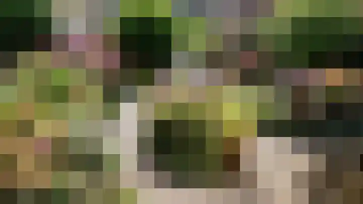 Jollenpad 30 Alkmaar thumbnail 19