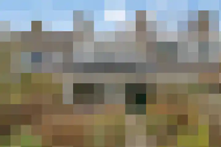 Jollenpad 30 Alkmaar thumbnail 20