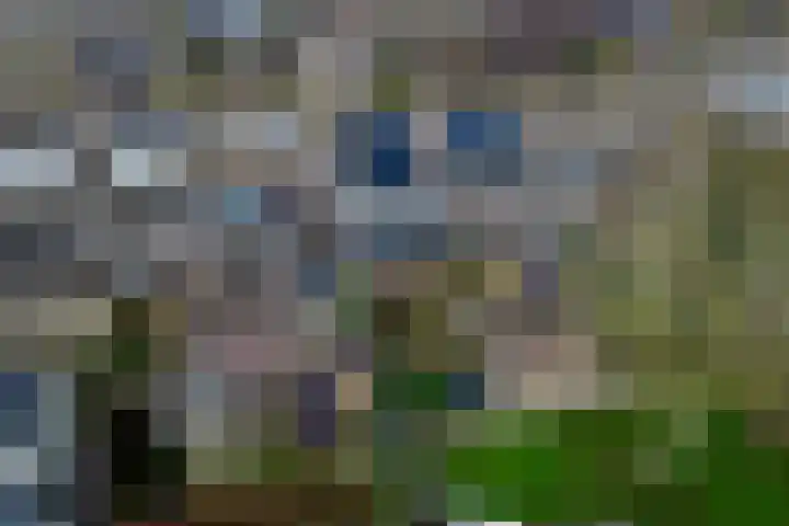 Jollenpad 30 Alkmaar thumbnail 21