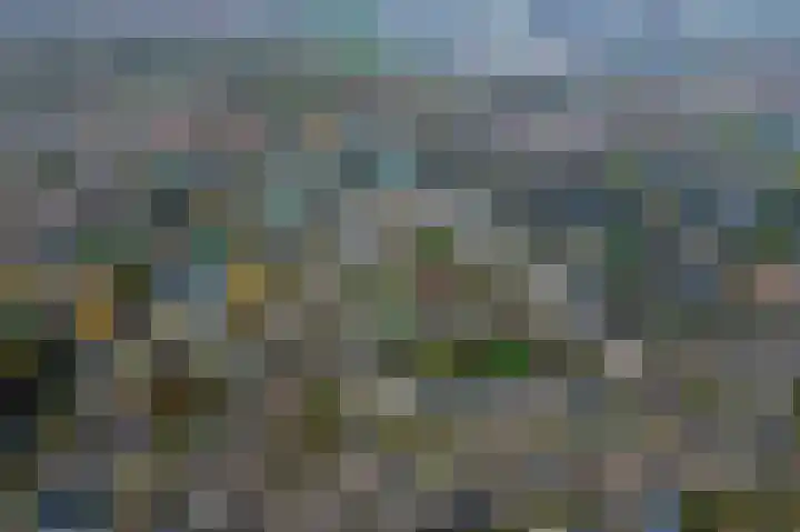 Jollenpad 30 Alkmaar thumbnail 23