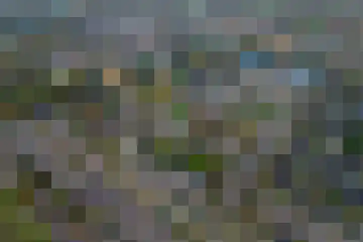 Jollenpad 30 Alkmaar thumbnail 24