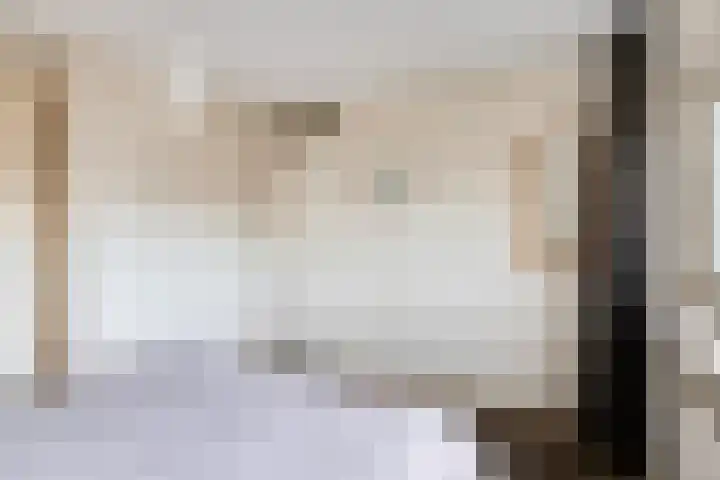 Jollenpad 30 Alkmaar thumbnail 29
