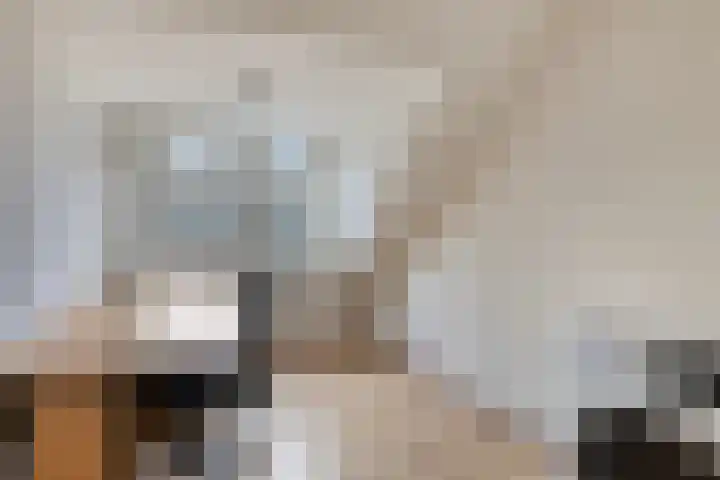 Jollenpad 30 Alkmaar thumbnail 31
