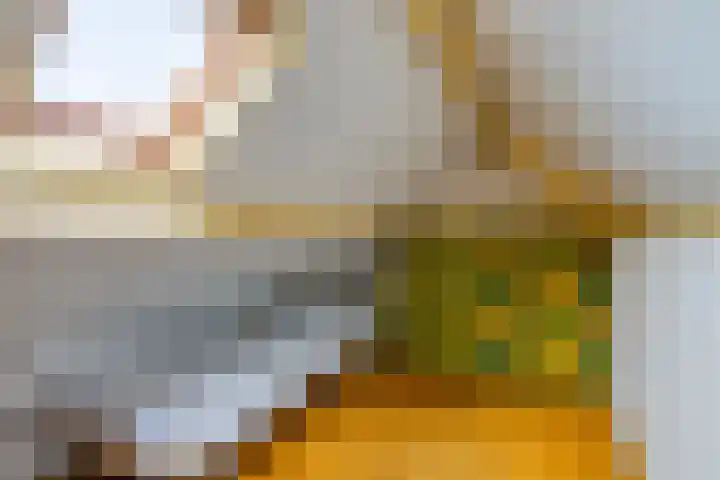 Jollenpad 30 Alkmaar thumbnail 32